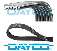 GENUINE DAYCO 6 RIBS 1345MM RIBBED DRIVE BELT 6PK1345