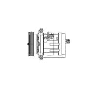 Genuine Delphi Air Con Compressor - TSP0155984