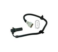 Delphi Crankshaft Position Sensor SS11071 - Genuine - Fits VW, Audi, SEAT, Skoda