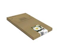 Epson 18XL Daisy High Yield Genuine Multipack, Eco-Friendly Packaging, 4-colours Ink Cartridges, Claria Home Ink