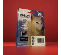 Epson T0967 Light Black Ink Cartridge - Husky (Original)
