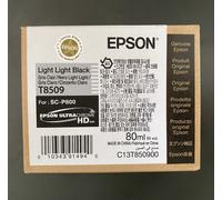 Epson Ink Cartridge T850900 (C13T850900) Light Light Black 80ml - Original