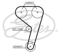 Timing belt T354HOB GATES for FORD FOCUS III FOCUS III Turnier FOCUS III Saloon
