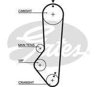 GATES 5224XS Timing Belt