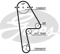 GATES 5593XS Timing Belt