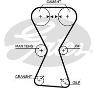 Timing belt 5255XS GATES for MITSUBISHI HYUNDAI KIA