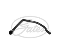 Genuine Gates Radiator Hose - 02-1636