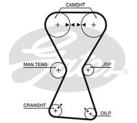 Timing belt 5255XS GATES for MITSUBISHI HYUNDAI KIA