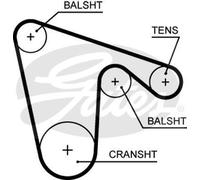 GATES 5619XS Timing Belt