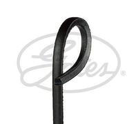 GATES AV17x1700HD V-Belt