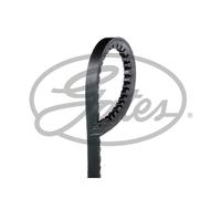 Genuine Gates V-Belt - AVX10X1150HD