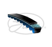 Genuine Gates V-Belt - SPZ560