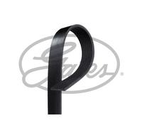 Genuine Gates V-Ribbed Belt - 8PK1655HD