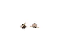 Genuine Hotpoint TC72N, TC72P, TC72PE, TC72X Green Spot Tumble Dryer Thermostat