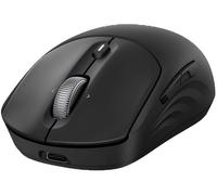 HP 700 Ultra-fast Rechargeable Supercapacitor Wireless Mouse | Bluetooth 5.2 and USB 2.4 GHz | 4D Wheel | Up to 30 Days Use | USB-C | 6000 DPI | Compatible with Windows, Mac, ChromeOS, iOS, Android