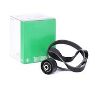 Genuine INA 529001610 V Ribbed Drive Belt Kit For Renault Clio Modus Twingo Wind