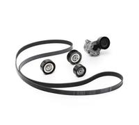 Genuine INA 529036110 V Ribbed Alternator Fan Drive Belt Set