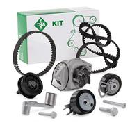 Genuine INA 530008931 Timing Belt and Water Pump Kit Fits Audi Skoda Seat VW