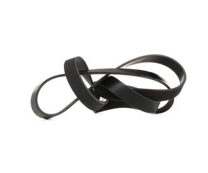Genuine INA V Ribbed Drive Belt for Suzuki Grand Vitara II OE FB7PK1988