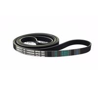 GENUINE INDESIT TUMBLE DRYER BELT CONTITECH SIZE 8PHE 1991 - 144003205