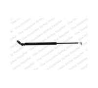 Genuine Kilen Rear Right Boot Gas Strut - 442022