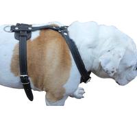 Genuine Leather Dog Harness, 29"-37" Chest, 1" Wide Straps. German Shepherd, Pitt Bull, Doberman