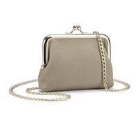 Genuine Leather Kiss Lock Coin Purse with Chain Strap, Mini Card Holder Wallet, Multiple Colors,Lipstick & Keys Organizer (Gray)