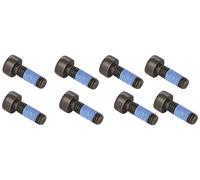 LuK DMF BOLT FITTING KIT - 411012410