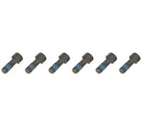 Genuine LUK Dmf Bolt Fitting Kit 411013210