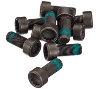 LuK DMF BOLT FITTING KIT - 411013312