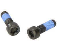 LUK Screw Set - Flywheel - Part No - 411016910