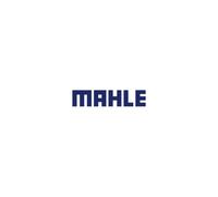 Genuine Mahle Engine Oil Filter Insert - OX1312D