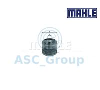 Genuine MAHLE Replacement Engine Oil Filter Insert OX 119 OX119