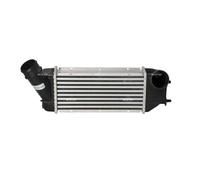 NRF 30894 Intercooler