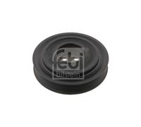 Genuine OE Quality Febi Crankshaft Belt Pulley - 31212