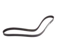 Genuine OEM 24422964 Timing Belt for GM Chevrolet