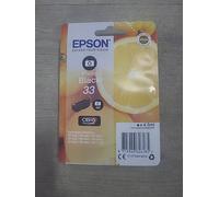 Epson 33 Photo Black Ink Cartridge