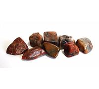 Genuine Petrified Dinosaur Poo! (Coprolite) Fun 20-30MM Tumble Stone Gift
