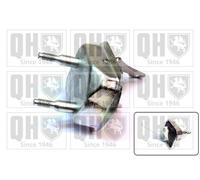 QUINTON HAZELL EM1914 Axle bush