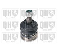 Genuine QH Ball Joint- Front Upper LH & RH