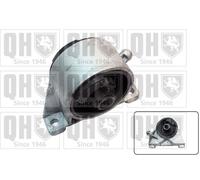 Engine / Gearbox Mount Front Lower, Right EM4602 Quinton Hazell Mounting 0684693