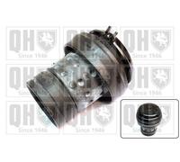 Genuine QH Engine/Gearbox Mounting - Front