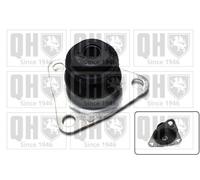 QUINTON HAZELL EM3134 Engine mount