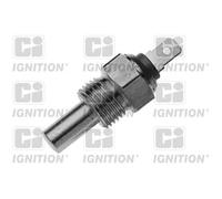 Genuine QH Temperature Transmitter - XTT12
