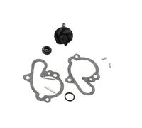 Genuine Water Pump Repair Kit 100110080 for Rieju MRX MR Pro RR RS1 RS2 SMX 50cc AM6 2T