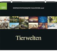 GEO Edition: Tierwelten 2026 - Wand-Kalender - Tier-Kalender - 70x60: Posterkalender