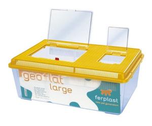 Geo Plastic Tank Flat Large Mixed Colours 46.7X30.5X17.5Cm