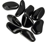 GeoFossils - Black Obsidian Tumble Stone 20-25mm (10)