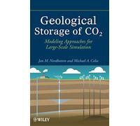 Geological Storage of CO2: Modeling Approaches for Large-Scale Simulation