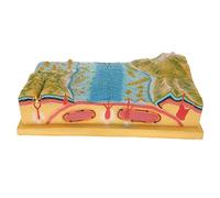 Geology 3D Plate Tectonics Model, Plate Structure and Surface Morphology Model, Junior High School Geography Teaching Laboratory Equipment 440x240x120mm